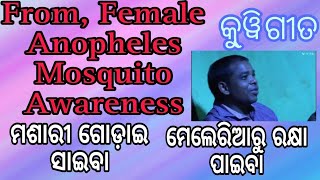 Female Anopheles Mosquito  Odia [upl. by Kcam]