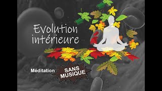 Evolution Intérieure  Méditation sans musique  Pleine conscience  Présence  Lâcher prise [upl. by Bergman974]