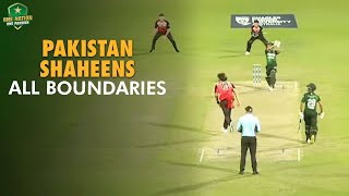 Pakistan Shaheens Boundaries in Win Over Melbourne Renegades  Top End T20 Series 2024  MA2A [upl. by Akehsar506]