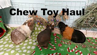 Guinea Pig Chew Toy Haul Zoey amp Lilos Toy Box [upl. by Ravahs]