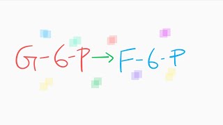 isomerism between glucose6phosphate and fructose6phosphate by phosphohexoisomerase [upl. by Ylrebnik445]