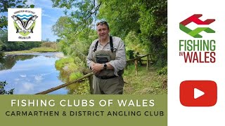 Fishing Clubs of Wales Carmarthen amp District Angling Club  River Towy and Tributaries [upl. by Ysdnyl]