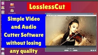 LosslessCut A Simple Video and Audio Cutter Software without losing any quality For Ubuntu [upl. by Etz]