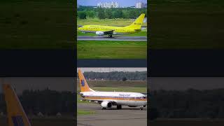 TUIfly 50 Jahre Jubiläum Boeing 737 Max 8 DAMAH Collage [upl. by Lynnelle660]