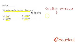 Gibberellins were first discoverded in fungal genus [upl. by Redmond]