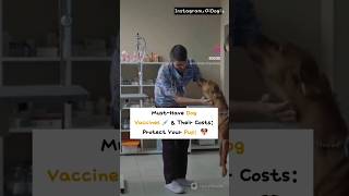 Top Dog Vaccines 💉 And Costs  Dog Vaccination Cost  puppy vaccine dog [upl. by Laks484]