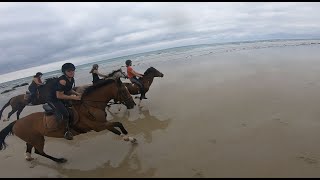 Rando plage à cheval  À FOOOOND [upl. by Gazzo]