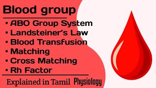 Blood Group  Explained in tamil  Blood Physiology  MT Easy Learning [upl. by Connell94]