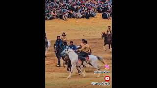 ShShokhin buzkashi horse kulob улок tojikiston kopkari kupkari бузкаши [upl. by Alaik]