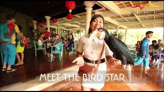 Welcome To Bali Bird Park [upl. by Nayarb]