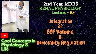 6c Integration of ECF Volume amp Osmolality Regulation 2ndYR MBBS Physiology RENAL Guyton [upl. by Tamberg246]