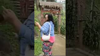 HOTEL LOCCA LODGE TRAWAS MOJOKERTO MEMANG HOTEL YANG NYAMAN UNTUK STAYCATION GUYSshorts [upl. by Anaitsirhc]