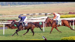 REGINA MEMORABILIS wins The Shamu Chavan Trophy [upl. by Eillor254]