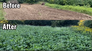 First Year Brand New Brassica Food Plot [upl. by Pascal]