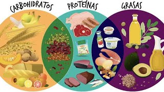 Nutrientes Proteínas carbohidratos y lípidos [upl. by Yonit213]