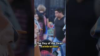 Discover Oaxaca Culture History amp Day of the Dead shorts [upl. by Gnik]