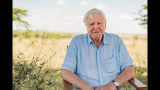 David Attenborough Narrates a Woman With Bruxism and Pseudobulbar Affect MaskGCT TTS AI Voice Test [upl. by Holbrook928]