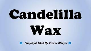 How To Pronounce Candelilla Wax [upl. by Ym805]