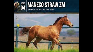 Lote 4  MANECO STRAW DESIRIO [upl. by Aciretehs702]