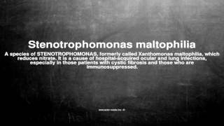 Medical vocabulary What does Stenotrophomonas maltophilia mean [upl. by Richardson922]