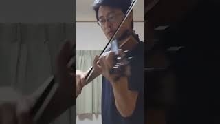 リヒャルト・シュトラウス ヴァイオリンソナタ 作品18 第２楽章冒頭 violin クラシック ヴァイオリン [upl. by Kiona]