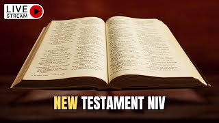 The Holy Bible  Complete NEW TESTAMENT Audio Bible NIV Dramatized [upl. by Nepil701]