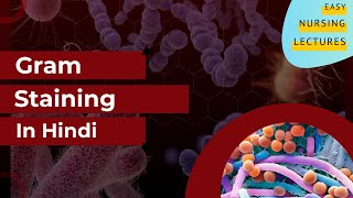 Gram Staining  Procedure in Hindi [upl. by Yelyk]