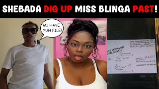 Shebada DIG UP Miss Blinga PAST [upl. by Etram]