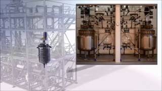 De Dietrich Process Systems Systemization [upl. by Odlaner]