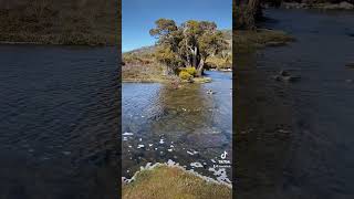 Pine Lake  Tasmania [upl. by Basso401]