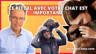 CE RITUEL AVEC VOTRE CHAT EST IMPORTANT [upl. by Ileak]