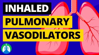 Inhaled Pulmonary Vasodilators Medical Definition  Quick Explainer Video [upl. by Reckford374]