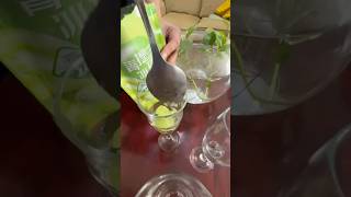 Homemade Mojito mojito mojitos chilled mocktail fun tasty [upl. by Aer]