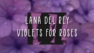 Lana Del Rey  Violets For Roses Lyrics Español  Ingles [upl. by Giulia49]