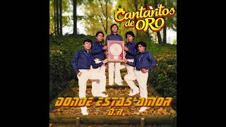 CANTARITOS DE ORO  DONDE ESTAS AMOR [upl. by Padriac]