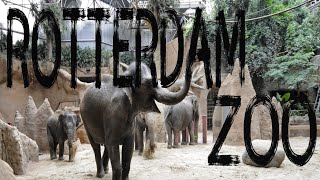 Rotterdam Zoo Diergaarde Blijdorp Holland Vlog [upl. by Enak159]