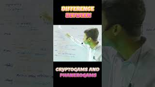 DIFFERENCE BETWEEN CRYPTOGAMS AND PHANEROGAMS [upl. by Nedle537]