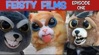 Feisty Films Episode 1 Invasion of the Feisty Pets [upl. by Nnylidnarb]