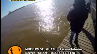 pejerrey recreo KEIDEL GUAZU daniel guffanti hombres de pesca [upl. by Va]