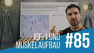 IGF1 Funktionen und Wirkung beim Muskelaufbau [upl. by Naiviv]