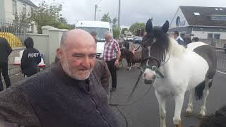 Ballyduff horse fair 2019 [upl. by Etnoj]