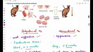 Polyclonal Vs Monoclonal antibodies [upl. by Wilkens]