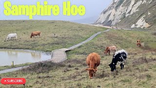 Stroll Around Samphire Hoe Kent [upl. by Noiramaj585]