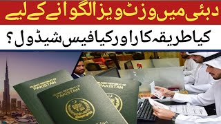 DUBAI VISIT VISA COMPLETE PROCEDURE  DUBAI VISIT VISA TOTALLY EXPENSES [upl. by Enelehcim]