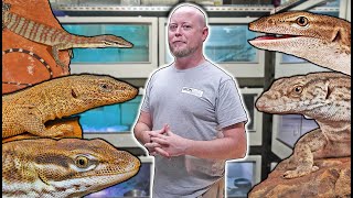 KEEPERS COLLECTIONS Episode 3  Ironbark Aussie Pets [upl. by Hillier]