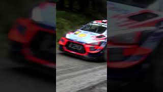 RALLY CAR  FULL SEND Insane high speed rally car pass  WOW [upl. by Sinoda]