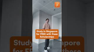 Study in SINGAPORE for FREE with these Scholarships 🤩 [upl. by Nerok]