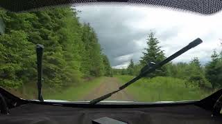 Kielder Forest Rally 15 June 2024 Falstone 2 SS4 [upl. by Nedrob415]