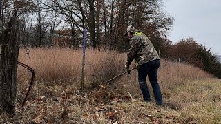 Dewalt 27 cc Brush Cutter destroys weeds and brush [upl. by Inotna]