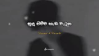 •  සුදු පිච්ච හැඩ වැටුන slowed  reverb Full song 😚💐•  🍃✨quot [upl. by Winshell]